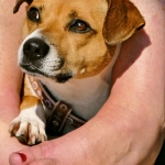 Программы лояльности казино без депозитов и их реальная выгода