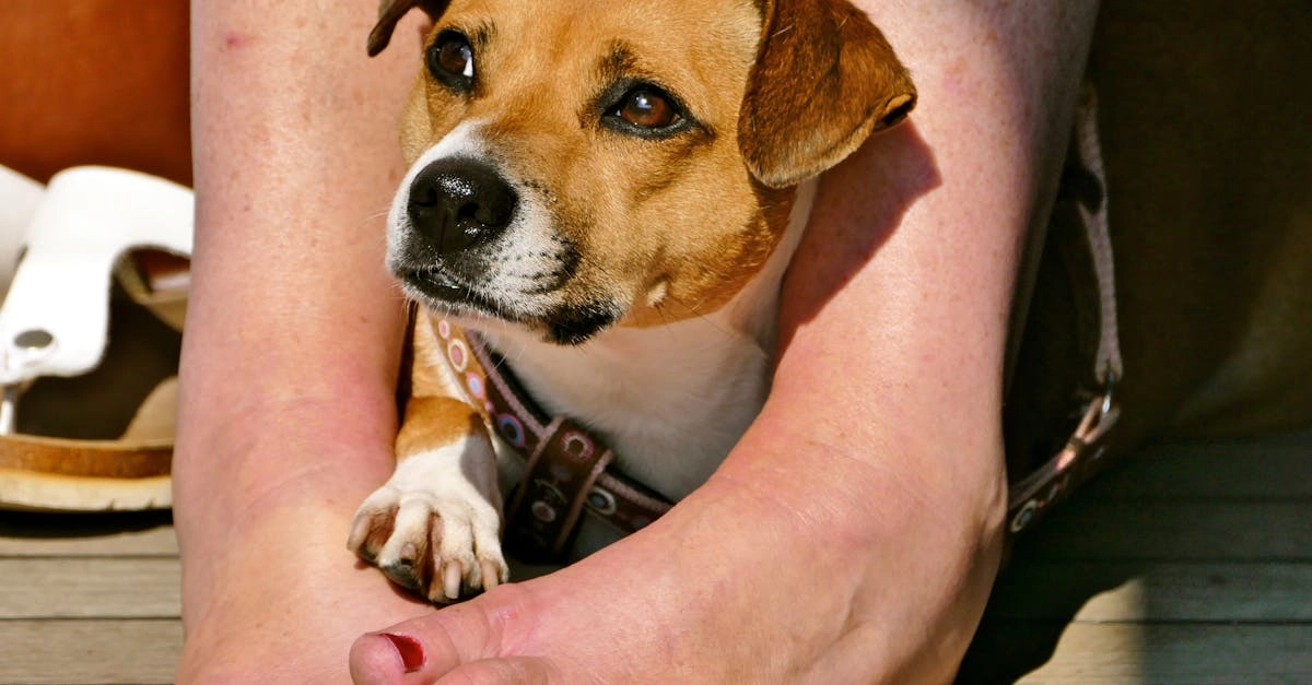 Программы лояльности казино без депозитов и их реальная выгода