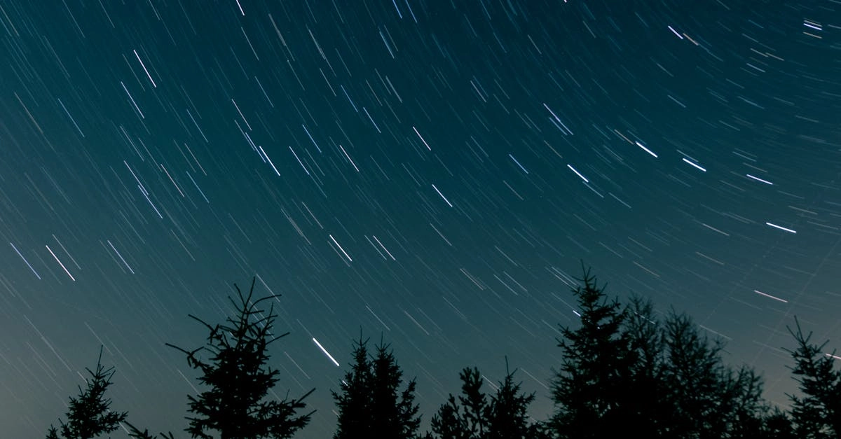 Анализ механик и математики слота Starlight Princess 1000